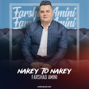 دانلود آهنگ فرشاد امینی به نام نکی تو نکی